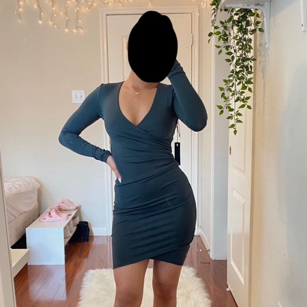 Aritzia Passion Dress - Picture 2 of 4